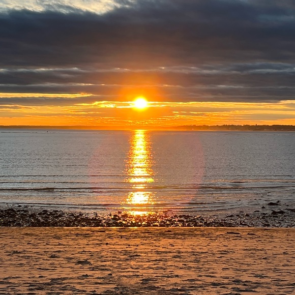 Meet your Posher, Robin - Picture 4 of 9